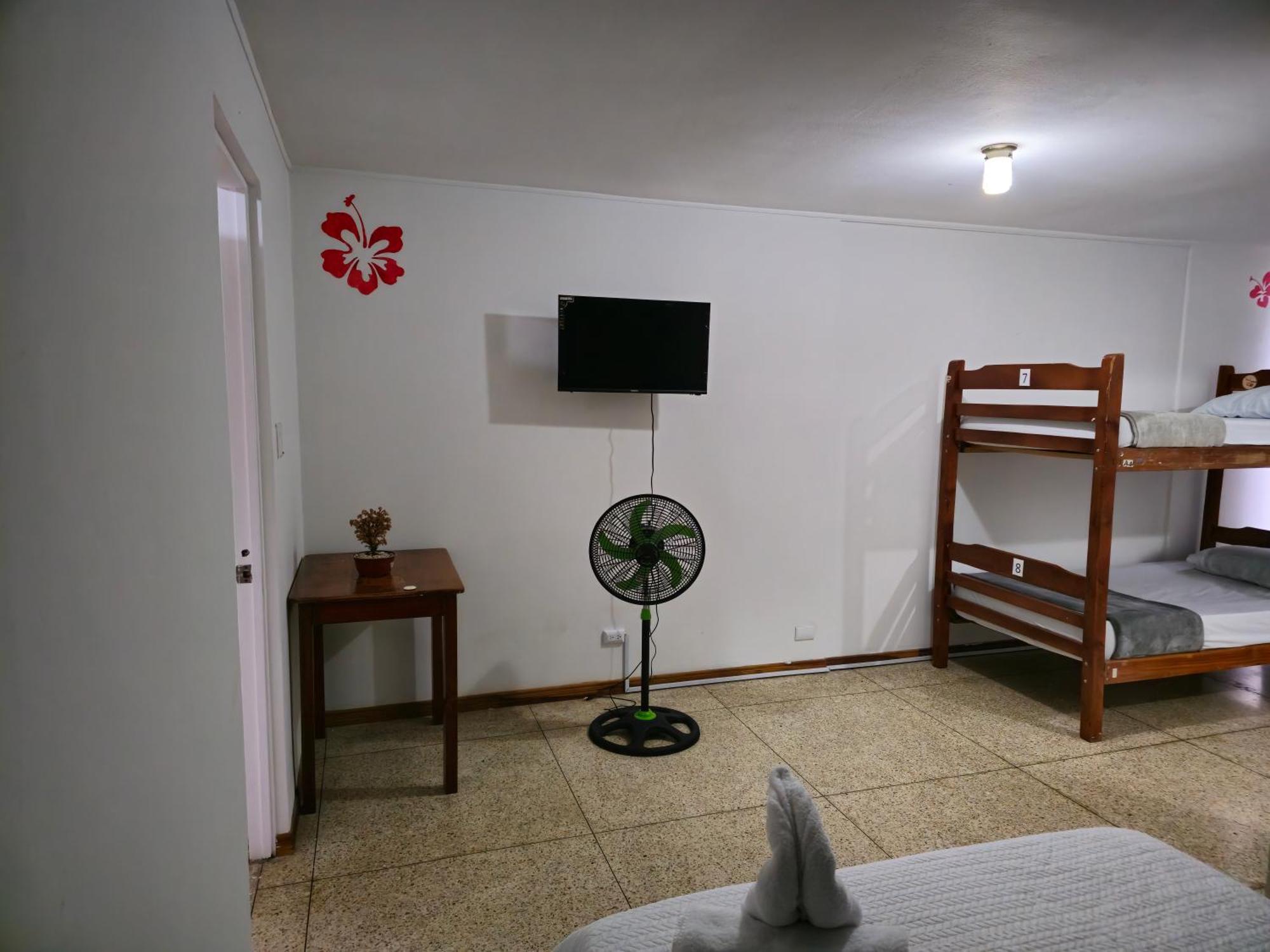 Haven Hotel San José Extérieur photo